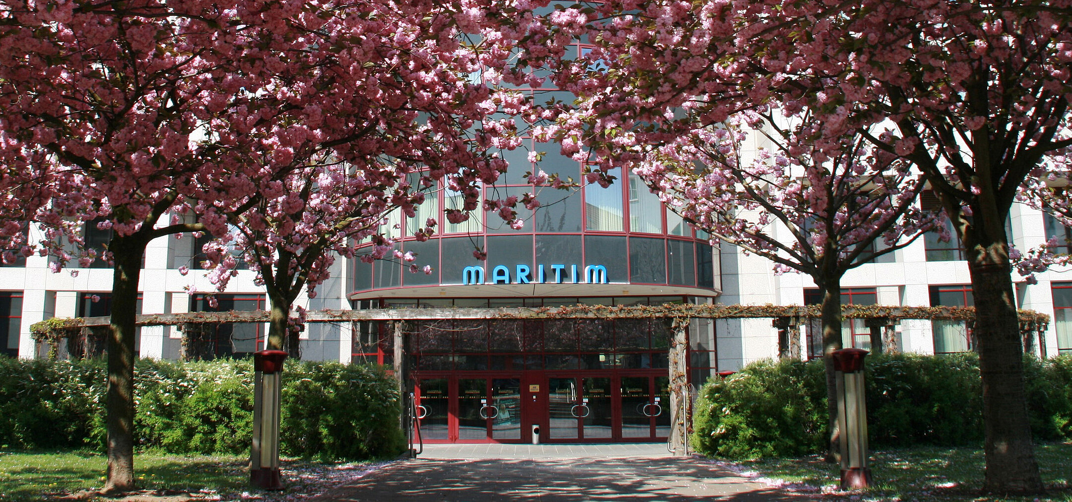 Der Eingang des Maritim Hotel Magdeburg im Frühling, umgeben von blühenden Kirschbäumen.